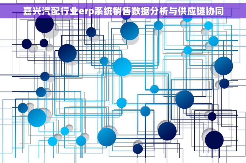 嘉兴汽配行业erp系统销售数据分析与供应链协同