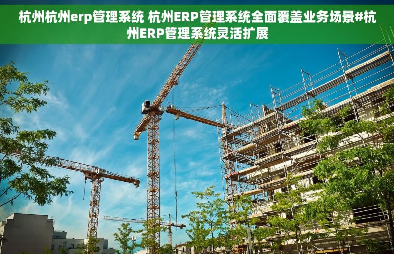 杭州杭州erp管理系统 杭州ERP管理系统全面覆盖业务场景#杭州ERP管理系统灵活扩展