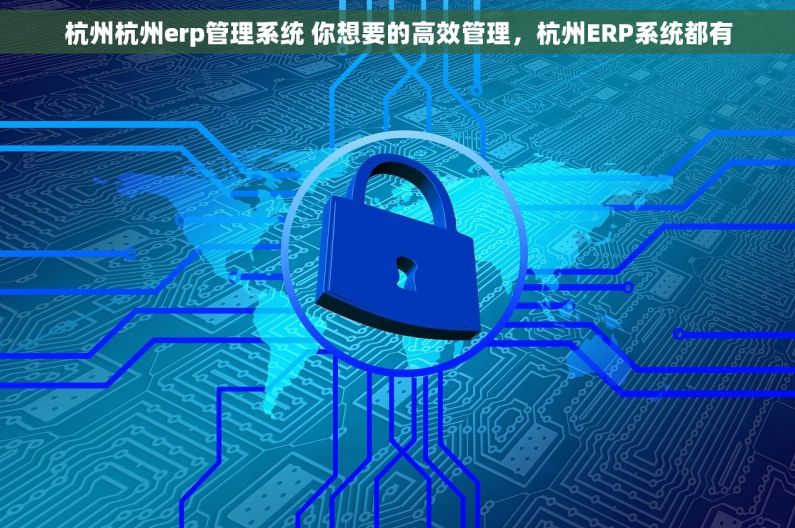 杭州杭州erp管理系统 你想要的高效管理，杭州ERP系统都有