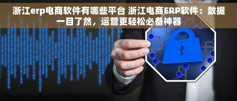 浙江erp电商软件有哪些平台 浙江电商ERP软件：数据一目了然，运营更轻松必备神器