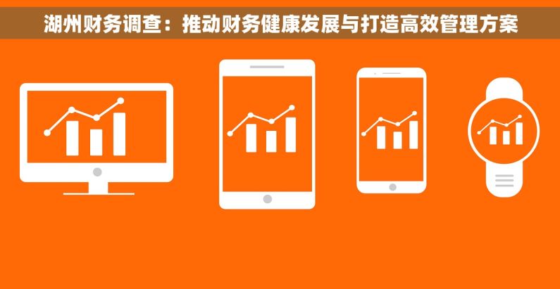 湖州财务调查：推动财务健康发展与打造高效管理方案