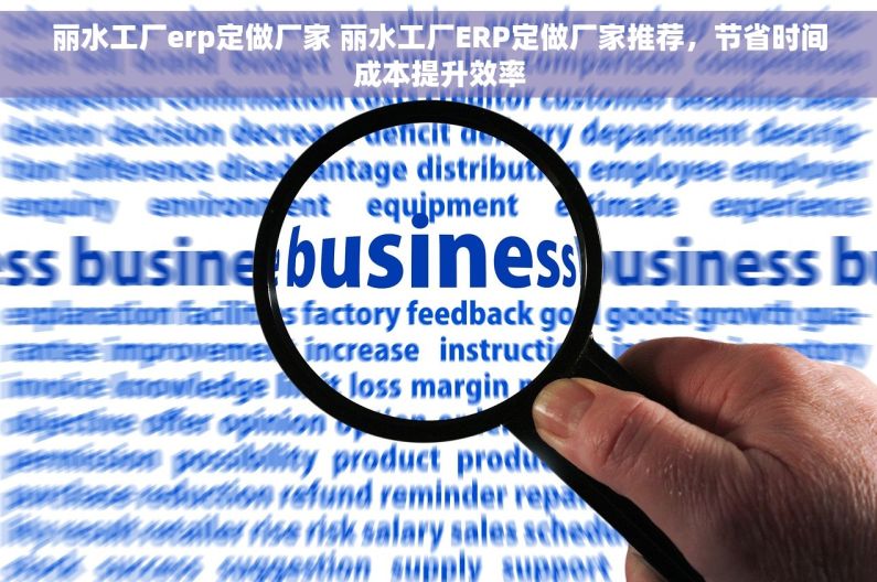 丽水工厂erp定做厂家 丽水工厂ERP定做厂家推荐，节省时间成本提升效率