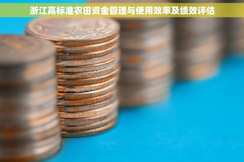 浙江高标准农田资金管理与使用效率及绩效评估