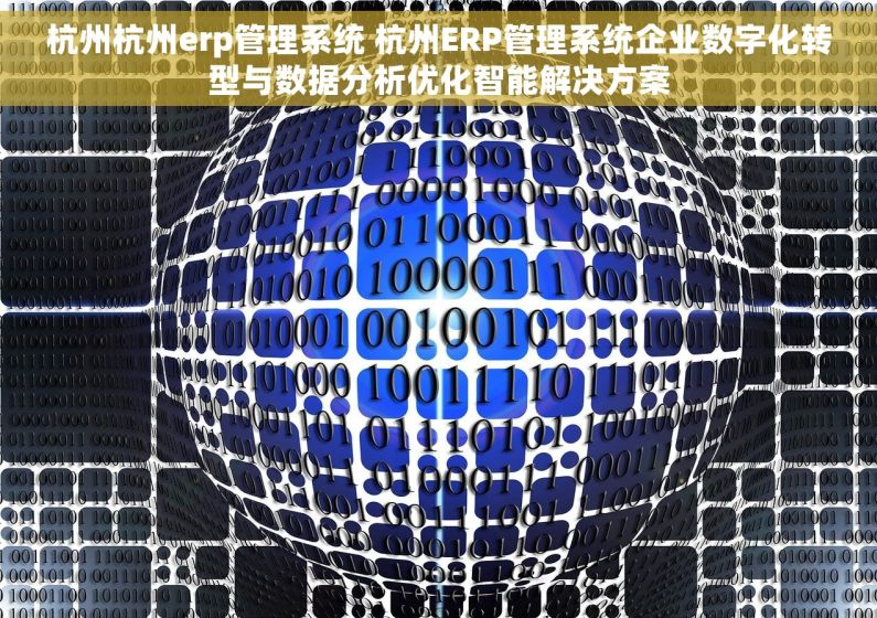 杭州杭州erp管理系统 杭州ERP管理系统企业数字化转型与数据分析优化智能解决方案