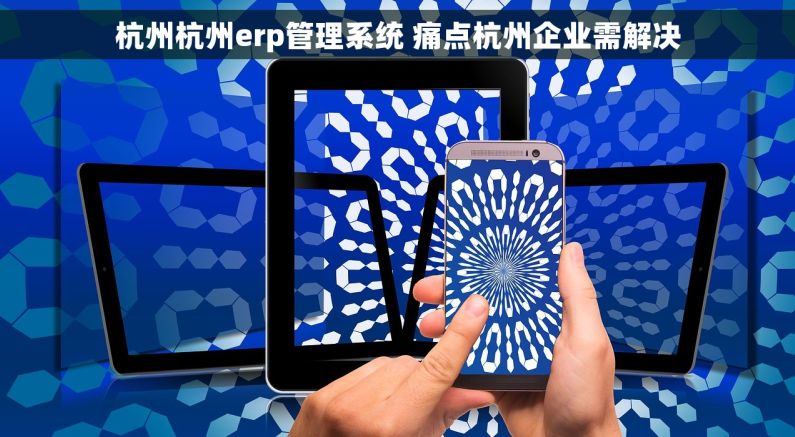 杭州杭州erp管理系统 痛点杭州企业需解决