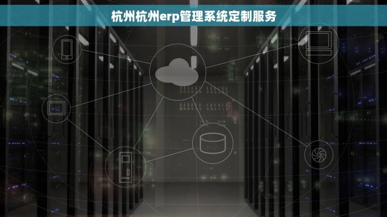 杭州杭州erp管理系统定制服务