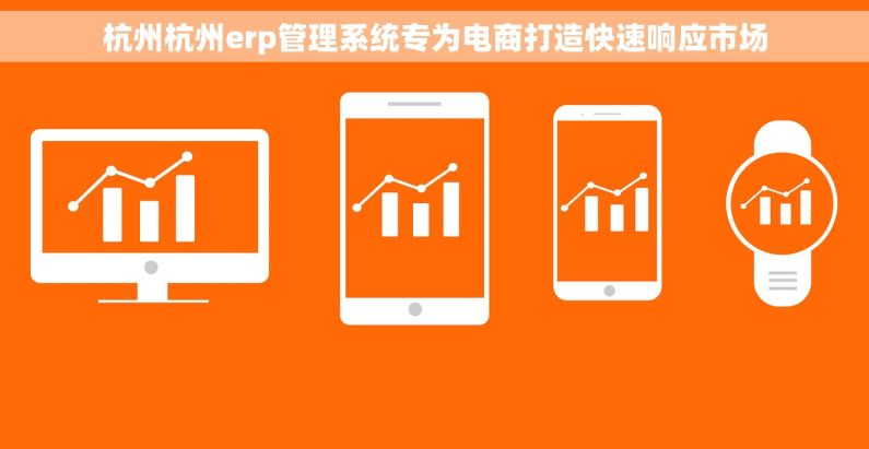 杭州杭州erp管理系统专为电商打造快速响应市场