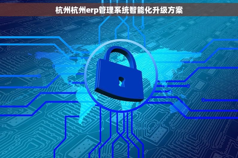 杭州杭州erp管理系统智能化升级方案