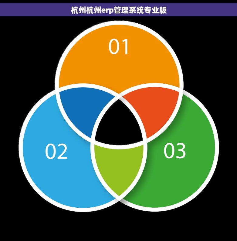 杭州杭州erp管理系统专业版