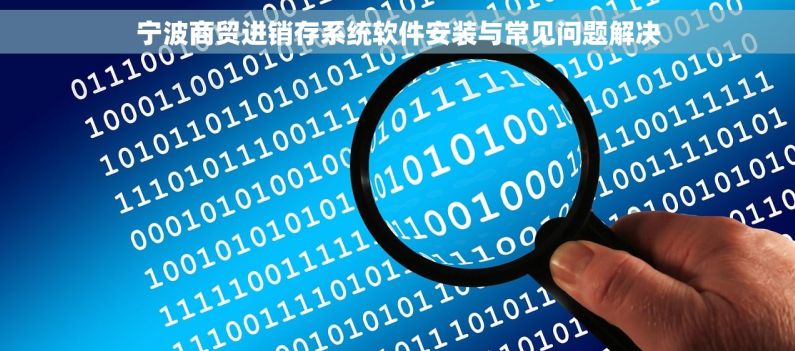 宁波商贸进销存系统软件安装与常见问题解决