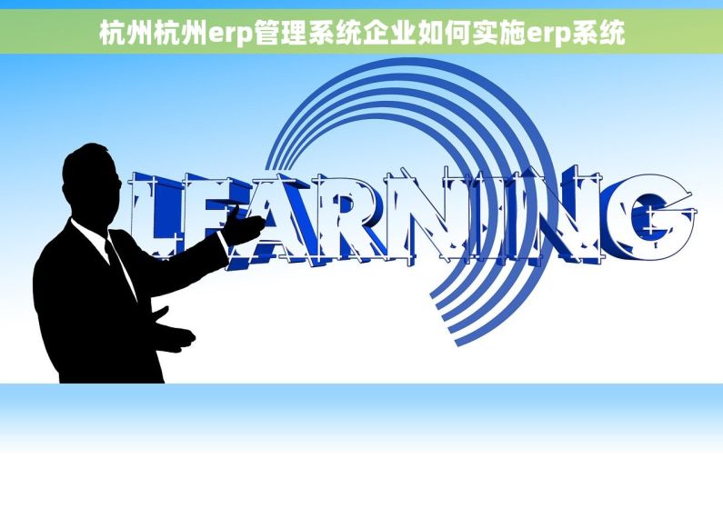 杭州杭州erp管理系统企业如何实施erp系统
