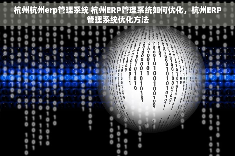 杭州杭州erp管理系统 杭州ERP管理系统如何优化，杭州ERP管理系统优化方法