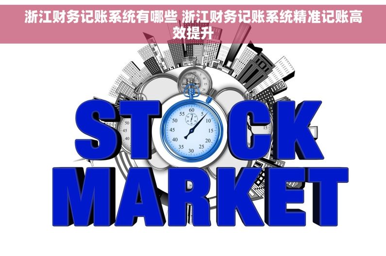 浙江财务记账系统有哪些 浙江财务记账系统精准记账高效提升
