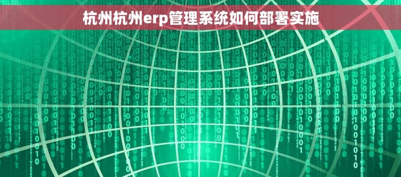 杭州杭州erp管理系统如何部署实施