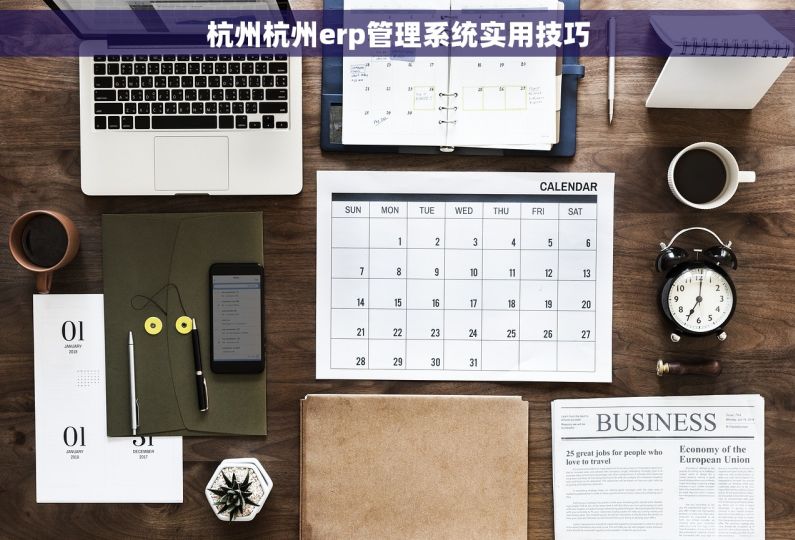 杭州杭州erp管理系统实用技巧