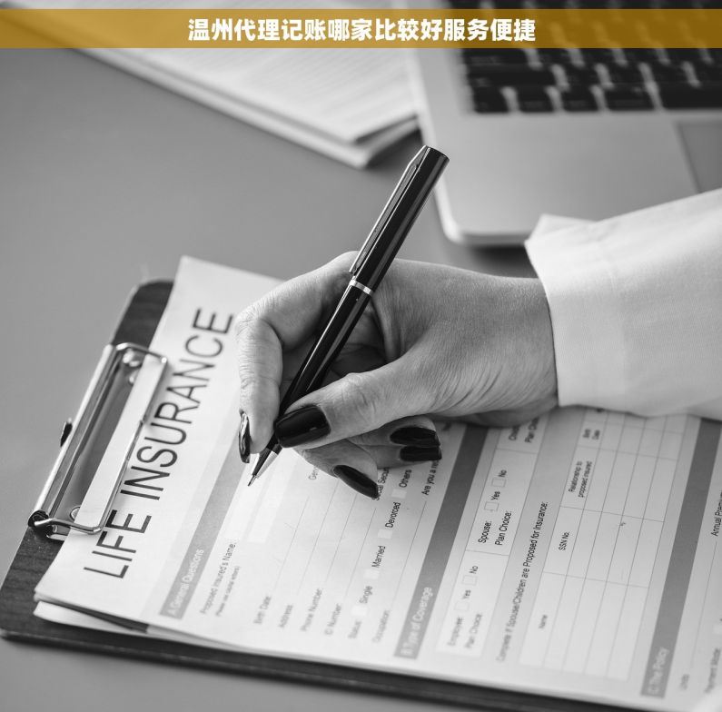 温州代理记账哪家比较好服务便捷