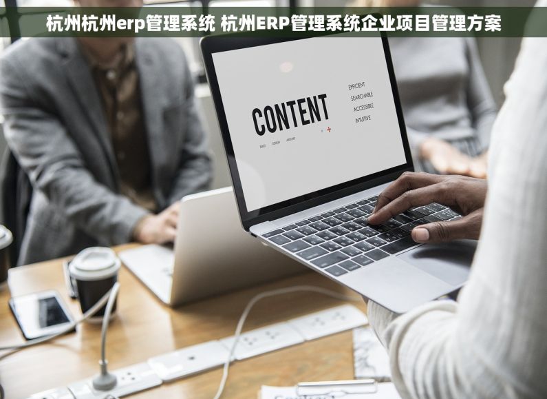 杭州杭州erp管理系统 杭州ERP管理系统企业项目管理方案
