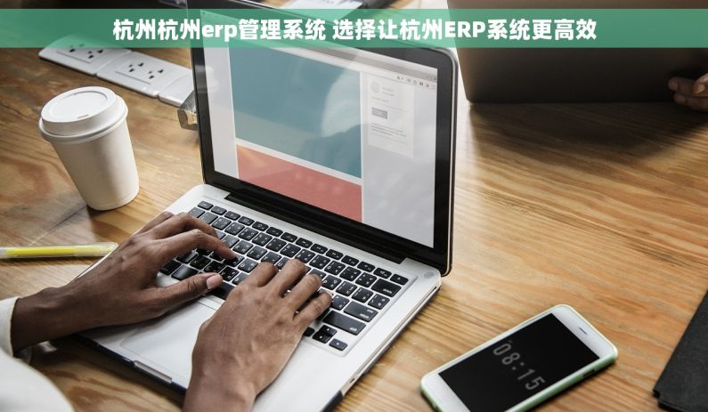 杭州杭州erp管理系统 选择让杭州ERP系统更高效