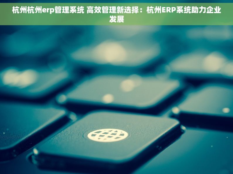 杭州杭州erp管理系统 高效管理新选择：杭州ERP系统助力企业发展