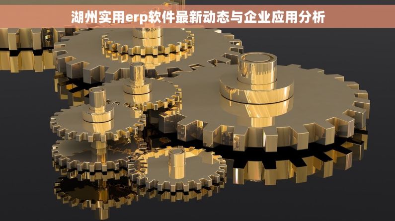 湖州实用erp软件最新动态与企业应用分析