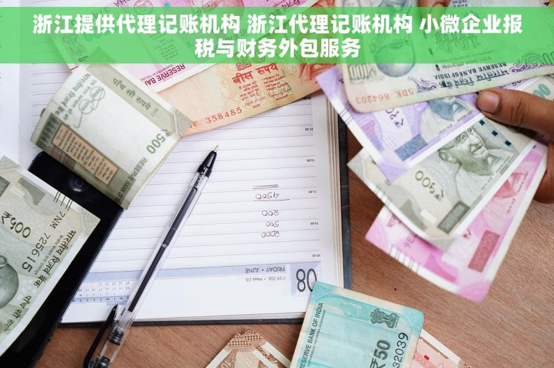 浙江提供代理记账机构 浙江代理记账机构 小微企业报税与财务外包服务
