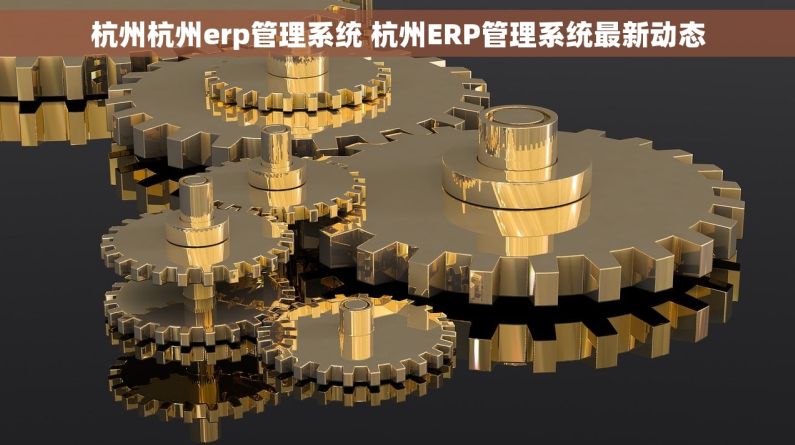 杭州杭州erp管理系统 杭州ERP管理系统最新动态