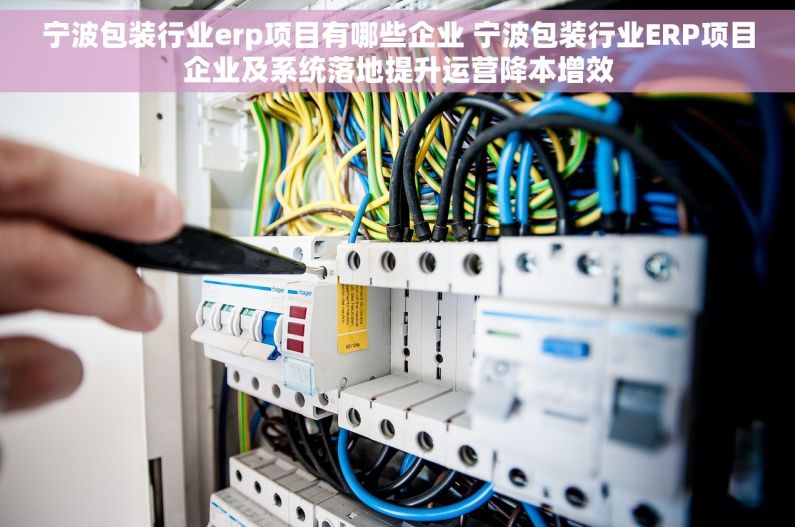 宁波包装行业erp项目有哪些企业 宁波包装行业ERP项目企业及系统落地提升运营降本增效