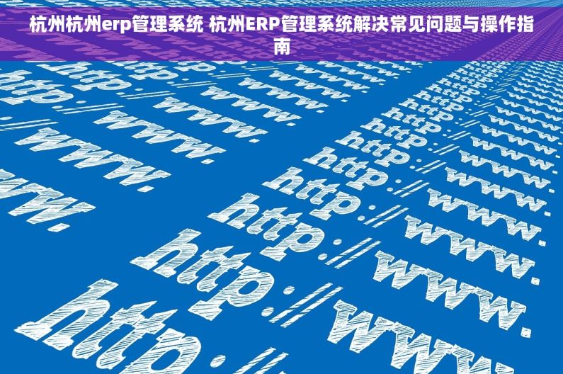 杭州杭州erp管理系统 杭州ERP管理系统解决常见问题与操作指南