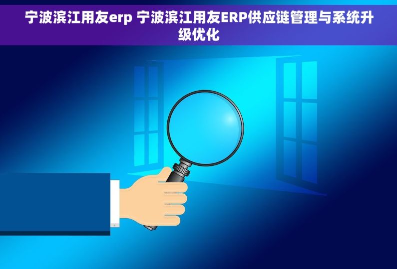 宁波滨江用友erp 宁波滨江用友ERP供应链管理与系统升级优化