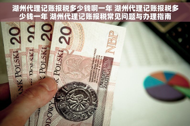 湖州代理记账报税多少钱啊一年 湖州代理记账报税多少钱一年 湖州代理记账报税常见问题与办理指南
