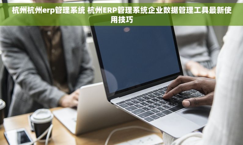 杭州杭州erp管理系统 杭州ERP管理系统企业数据管理工具最新使用技巧