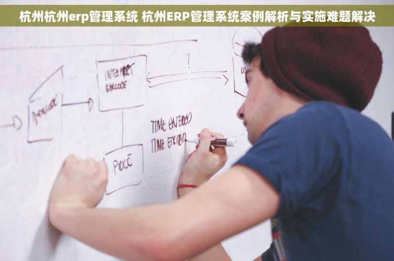 杭州杭州erp管理系统 杭州ERP管理系统案例解析与实施难题解决 杭州杭州erp管理系统 杭州ERP管理系统案例解析与实施难题解决