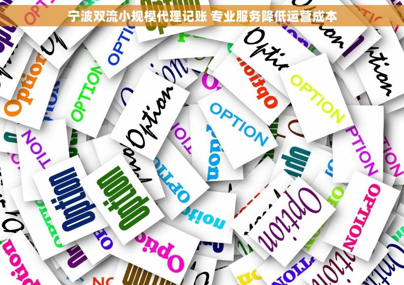 宁波双流小规模代理记账 专业服务降低运营成本