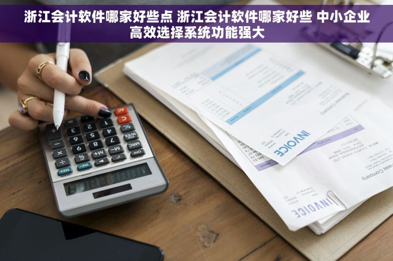 浙江会计软件哪家好些点 浙江会计软件哪家好些 中小企业高效选择系统功能强大