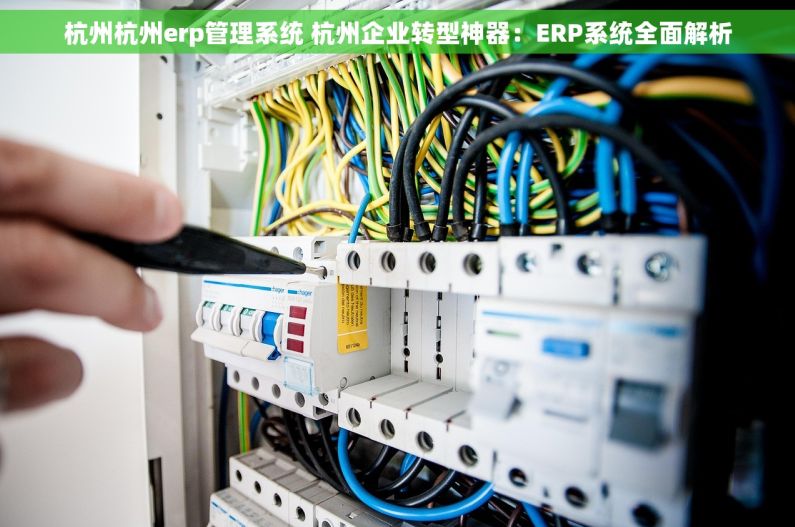 杭州杭州erp管理系统 杭州企业转型神器：ERP系统全面解析