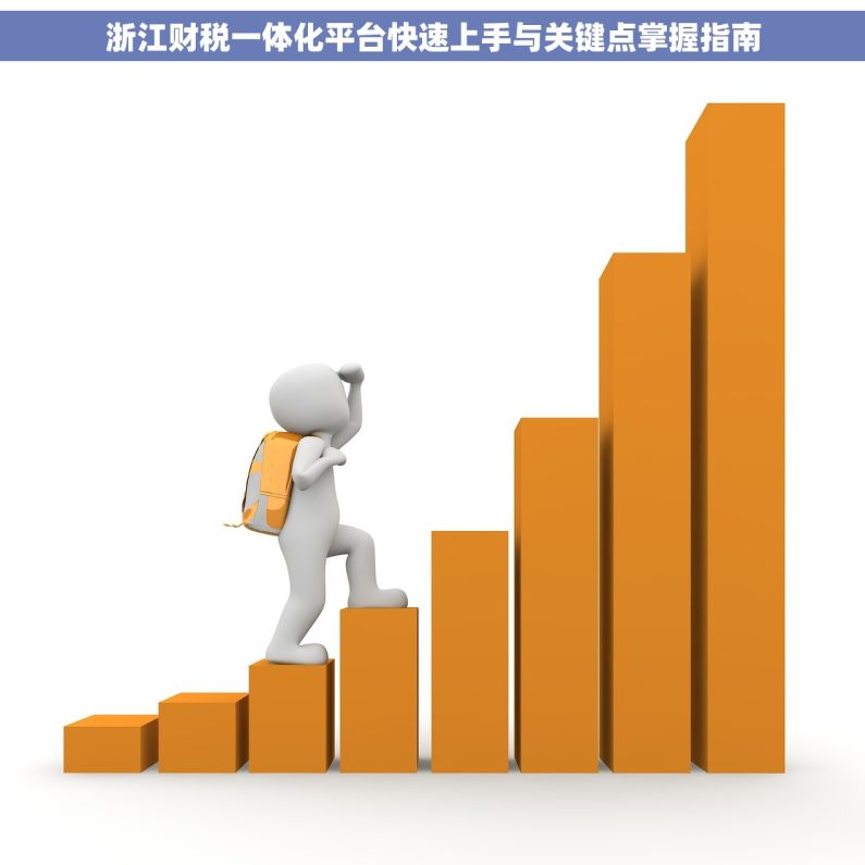 浙江财税一体化平台快速上手与关键点掌握指南