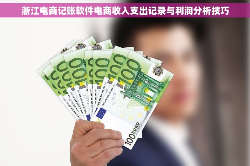 浙江电商记账软件电商收入支出记录与利润分析技巧