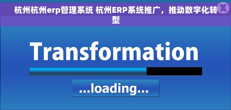 杭州杭州erp管理系统 杭州ERP系统推广，推动数字化转型