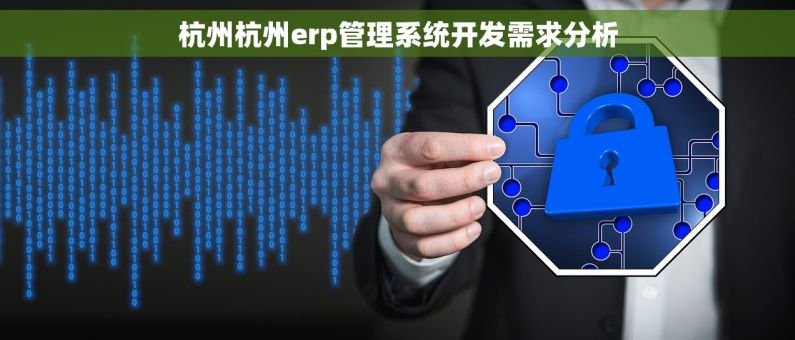 杭州杭州erp管理系统开发需求分析