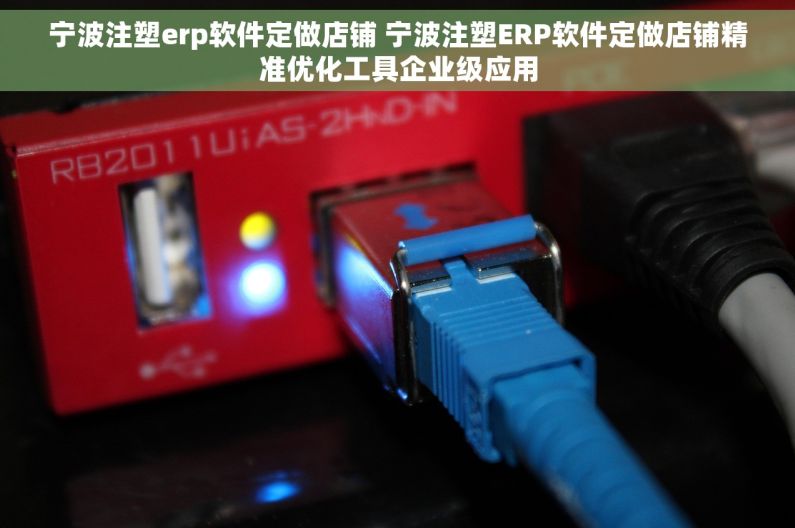 宁波注塑erp软件定做店铺 宁波注塑ERP软件定做店铺精准优化工具企业级应用