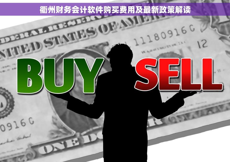 衢州财务会计软件购买费用及最新政策解读 衢州财务会计软件购买费用及最新政策解读