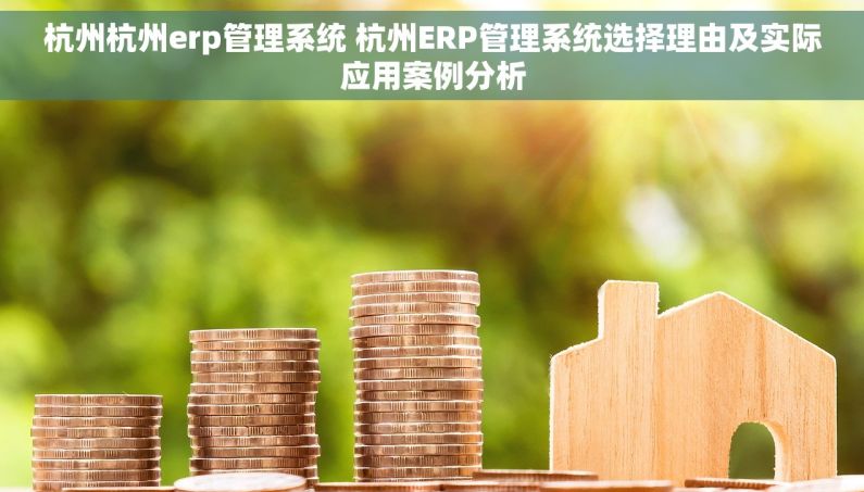 杭州杭州erp管理系统 杭州ERP管理系统选择理由及实际应用案例分析