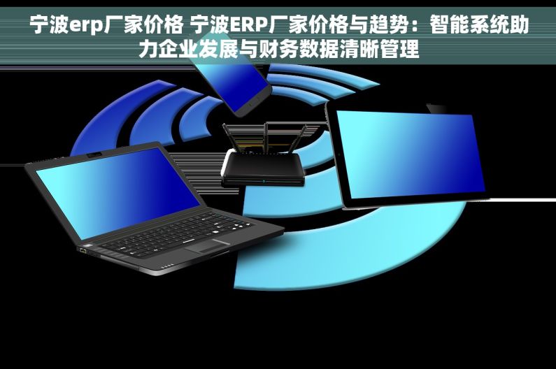 宁波erp厂家价格 宁波ERP厂家价格与趋势：智能系统助力企业发展与财务数据清晰管理