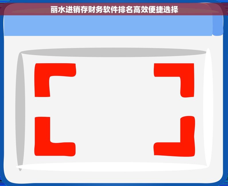 丽水进销存财务软件排名高效便捷选择 丽水进销存财务软件排名高效便捷选择