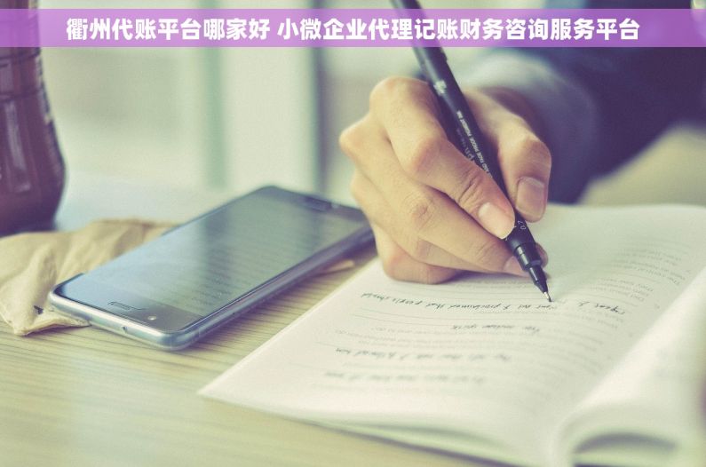 衢州代账平台哪家好 小微企业代理记账财务咨询服务平台 衢州代账平台哪家好 小微企业代理记账财务咨询服务平台