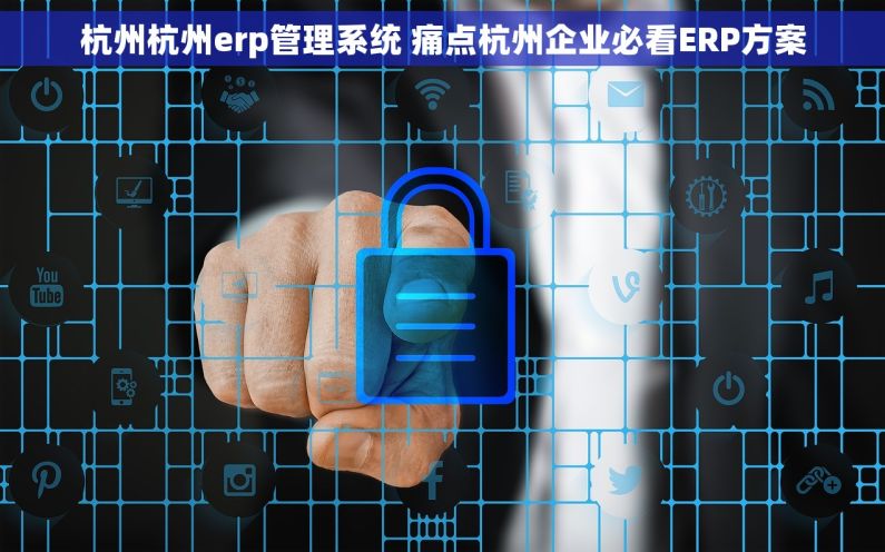 杭州杭州erp管理系统 痛点杭州企业必看ERP方案