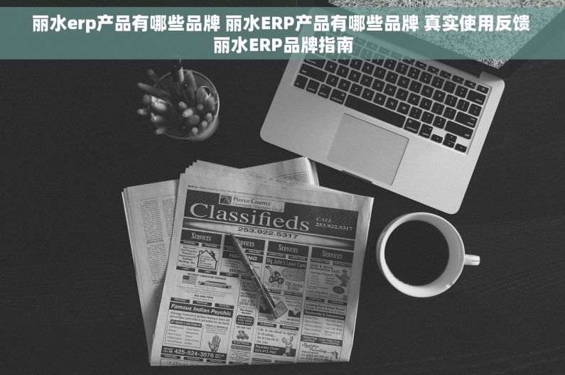 丽水erp产品有哪些品牌 丽水ERP产品有哪些品牌 真实使用反馈 丽水ERP品牌指南