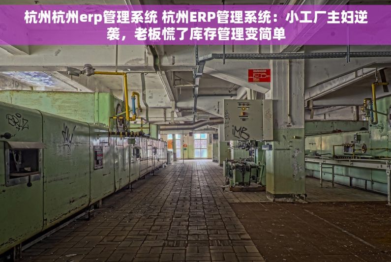 杭州杭州erp管理系统 杭州ERP管理系统：小工厂主妇逆袭，老板慌了库存管理变简单