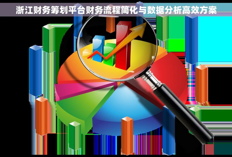 浙江财务筹划平台财务流程简化与数据分析高效方案 浙江财务筹划平台财务流程简化与数据分析高效方案