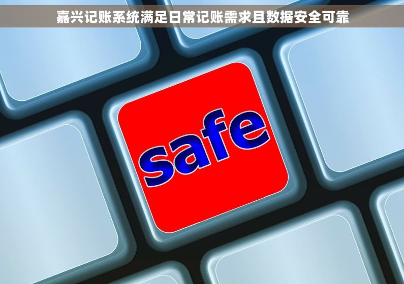 嘉兴记账系统满足日常记账需求且数据安全可靠 嘉兴记账系统满足日常记账需求且数据安全可靠